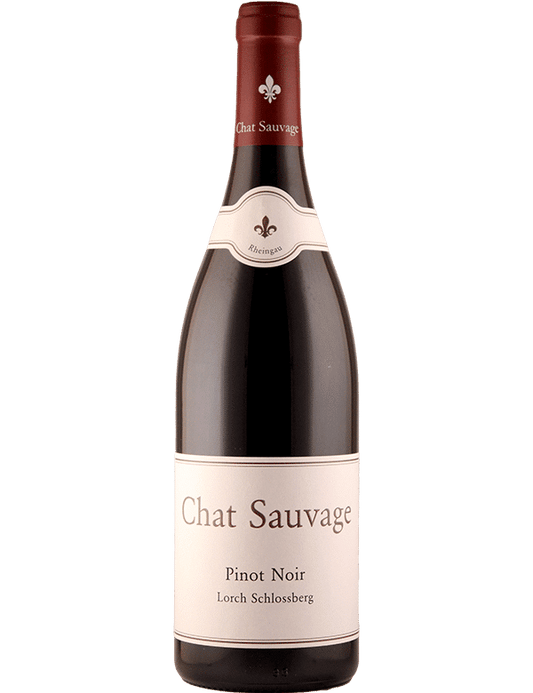 Lorch Schlossberg Pinot Noir