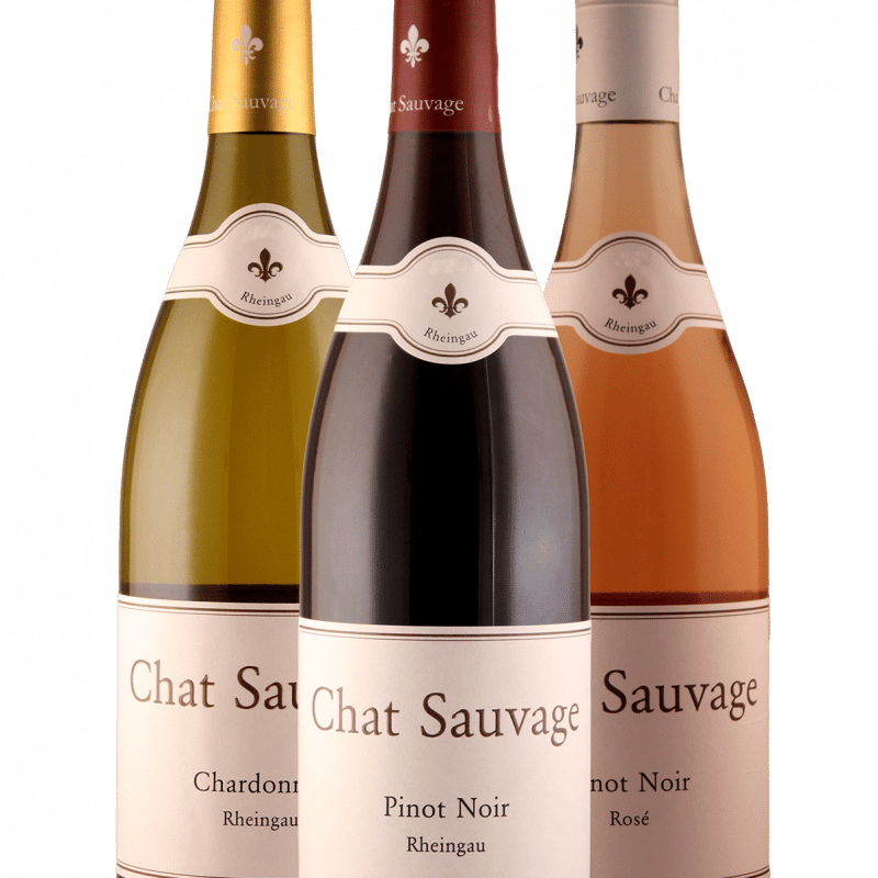 Kennenlernpaket Gutsweine